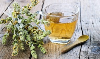 Ceaiul Muntele Grecesc - preparare, gust si beneficii