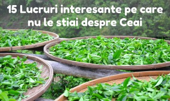 15 Lucruri interesante pe care nu le stiai despre ceai