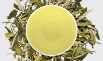 Scurt studiu asupra Ceaiului Alb